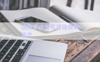 信陽羅山寶元建設(shè)債權(quán)資產(chǎn)