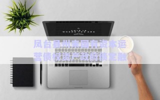 鳳臺縣州來國有資本運營債權(quán)資產(chǎn)政府債定融