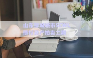 山東鄒城城市SCWL債權(quán)資產(chǎn)拍賣(mài)二期