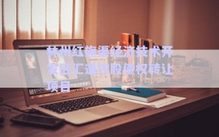 林州紅旗渠經(jīng)濟(jì)技術(shù)開發(fā)區(qū)匯通控股債權(quán)轉(zhuǎn)讓項目