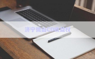 濟寧微山CD收益權(quán)