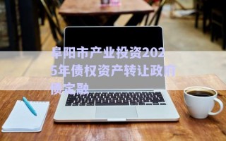阜陽市產(chǎn)業(yè)投資2025年債權(quán)資產(chǎn)轉(zhuǎn)讓政府債定融