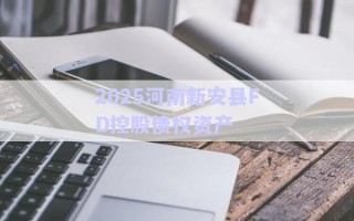 2025河南新安縣FD控股債權資產(chǎn) 2025河南新安縣FD控股債權資產(chǎn)
