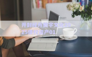 開(kāi)封經(jīng)開(kāi)數(shù)字文化2025債權(quán)資產(chǎn)01