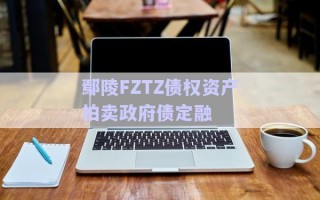 鄢陵FZTZ債權(quán)資產(chǎn)拍賣政府債定融