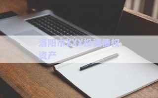 洛陽市XXX投資債權資產