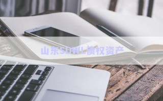 山東SDWL債權資產