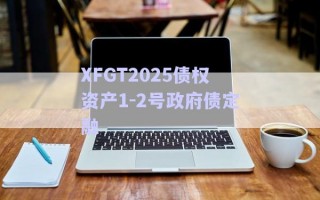 XFGT2025債權(quán)資產(chǎn)1-2號(hào)政府債定融