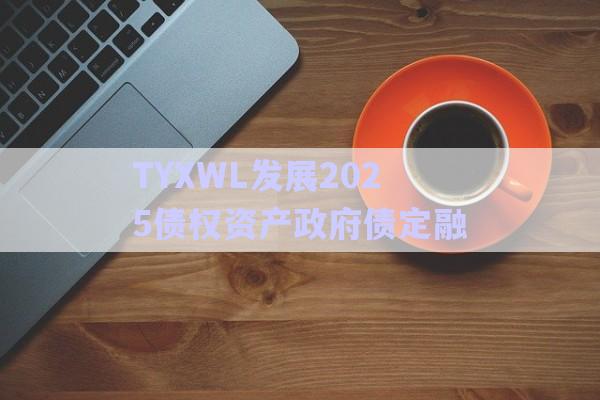 TYXWL發(fā)展2025債權資產政府債定融-第1張圖片-政信固收網