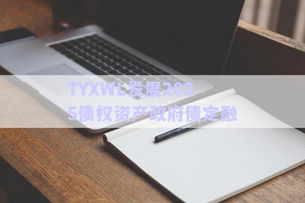 TYXWL發(fā)展2025債權資產(chǎn)政府債定融-第1張圖片-政信固收網(wǎng)