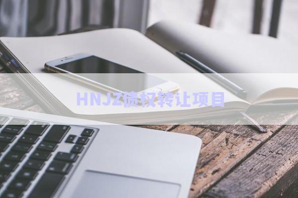 HNJZ債權轉讓項目-第1張圖片-政信固收網