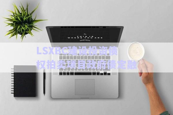 LSXBC建設(shè)投資債權(quán)拍賣項目政府債定融-第1張圖片-政信固收網(wǎng)