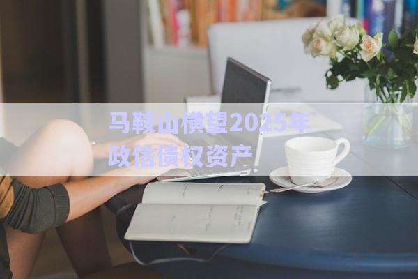 馬鞍山橫望2025年政信債權(quán)資產(chǎn)-第1張圖片-政信固收網(wǎng)